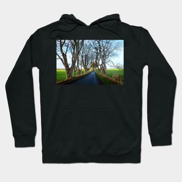 The Dark Hedges, Northern Ireland Hoodie by Ludwig Wagner